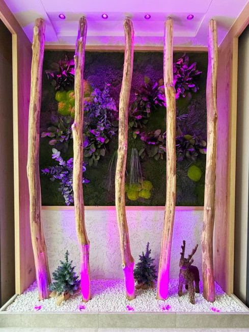 Eingangsbereich Wohlfühlhotel Bercher