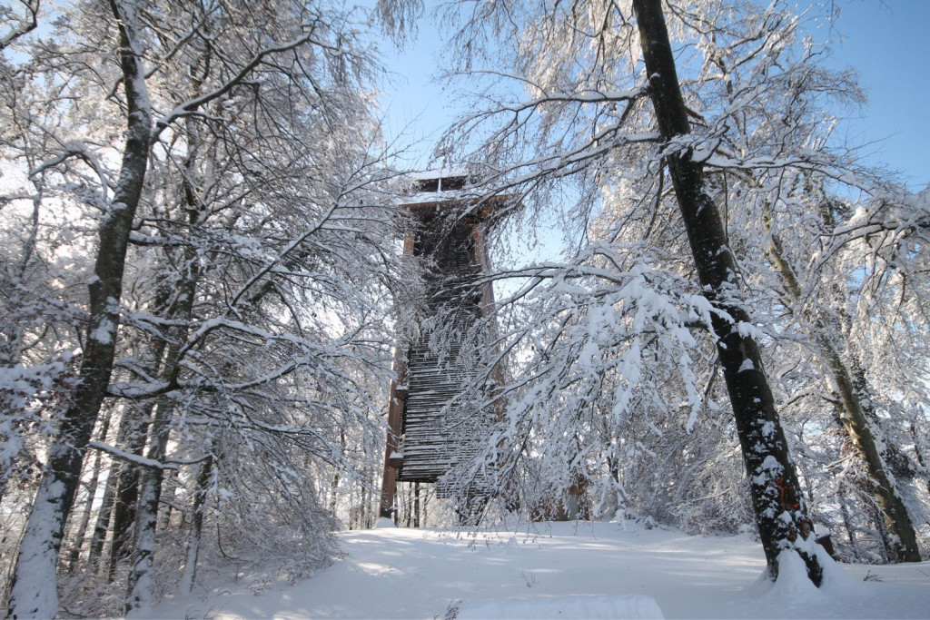 Verschneiter Aussichtsturm in einem winterlichen Wald im Südschwarzwald