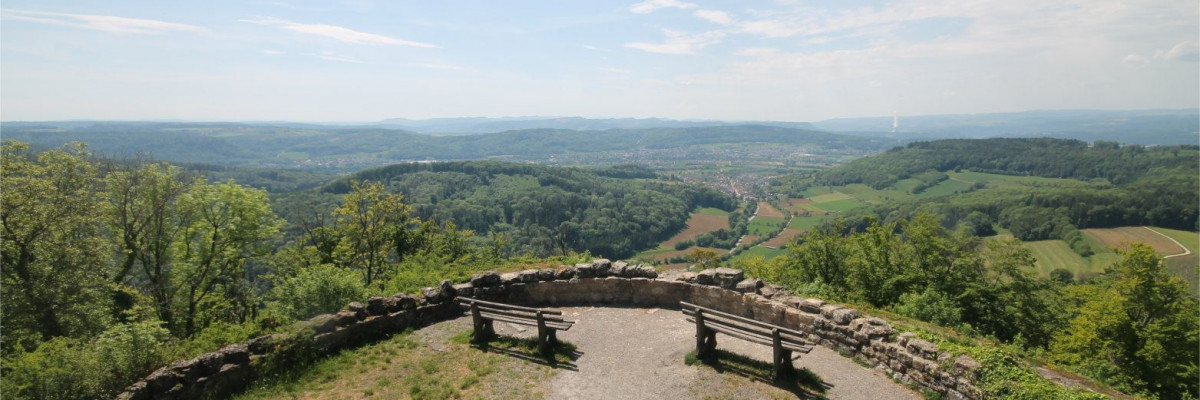 Blick von der Küssaburg im Sommer